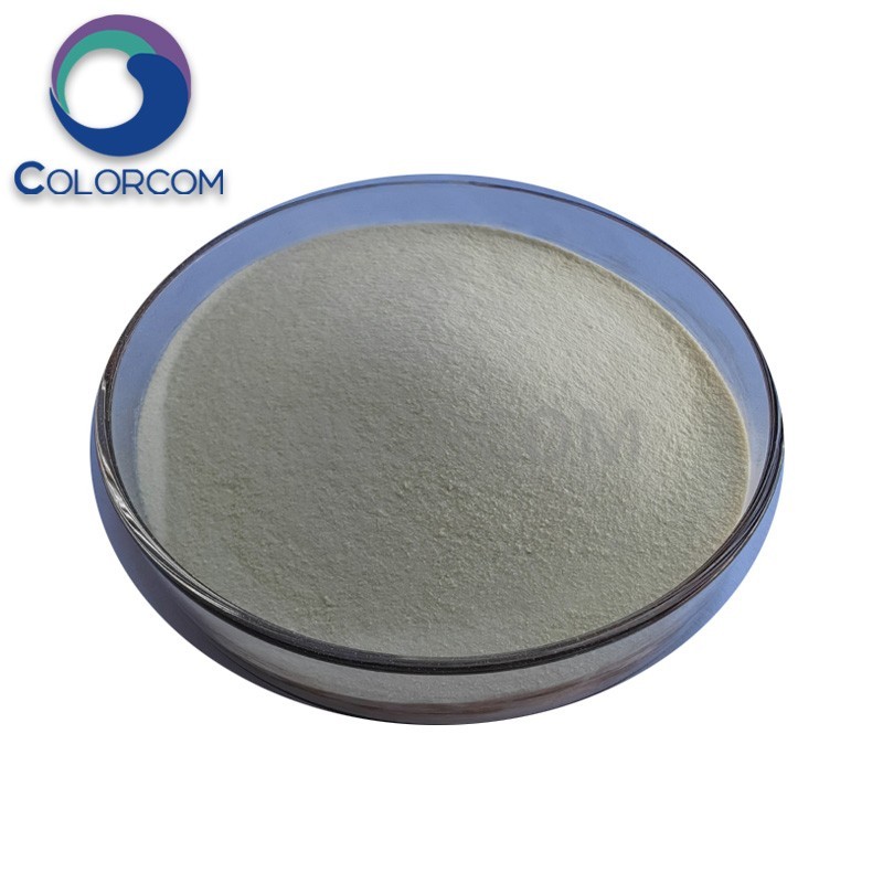 Industry Grade Sodium Alginate | 9005-38-3